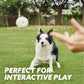🐶🔥Spielzeug für aggressive Kauer