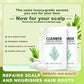 ⏳Limitierte Aktion⏰Erfrischendes Shampoo für glatte und glänzende Haare🌱✨