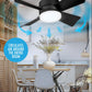 🔥50% Rabatt🔥 2-IN-1 TRAGBARE DECKENVENTILATOR & LICHT mit Fernbedienung