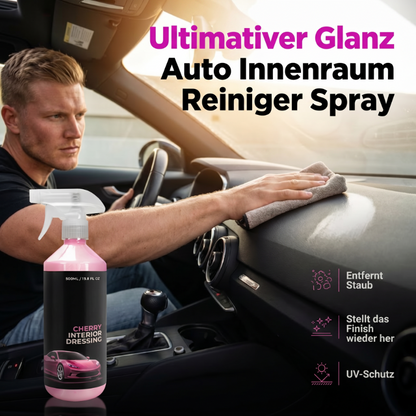 Mehrflächen-Reinigungsspray für den Autoinnenraum