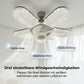 LED-Lüfterleuchte mit 5 Flügeln und Kristall-Effekt