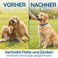 🎁 1+1 GRATIS🛡️Halsband mit natürlichen ätherischen Ölen zur Abwehr von Schädlingen bei Haustieren