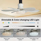 🔥50% Rabatt🔥 2-IN-1 TRAGBARE DECKENVENTILATOR & LICHT mit Fernbedienung