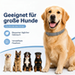 🥳HEISSER SALE 2026🥳💞50.000+ VERKAUFT!  Verstellbare Floh- und Zeckenhalsbänder für Hunde und Katzen