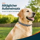 🥳HEISSER SALE 2026🥳💞50.000+ VERKAUFT!  Verstellbare Floh- und Zeckenhalsbänder für Hunde und Katzen