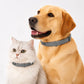 🥳HEISSER SALE 2026🥳💞50.000+ VERKAUFT!  Verstellbare Floh- und Zeckenhalsbänder für Hunde und Katzen