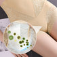 🎁 Zeitlich begrenzt 53%RABATT🎁✨Po-Lifting-Höschen mit Bauch-weg-Effekt und hoher Taille für Damen