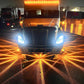 🚗  Seitliche LED-Signalanzeige 2026 – Hochhell, Universelle Passform & Einfache Installation für Mehr Sicherheit 💡