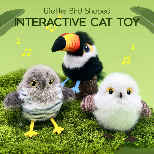 🎁🐱Lifelike Bird-Shaped Interactive Cat Toy
