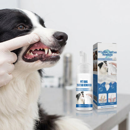 💘 Nur für kurze Zeit: 50% Rabatt!🐾 Schaum-Zahnsteinentferner für Haustiere – Natürliche Formel & mühelose Anwendung!