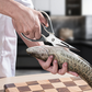 ✂️ Multifunktionale Küchenschere – robust, rostfrei, mit Magnetaufbewahrung. Immer griffbereit! 🧲✨