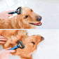 3-in-1-Pflegeset für Hunde und Katzen