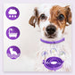 🥳HEISSER SALE 2026🥳💞50.000+ VERKAUFT!  Verstellbare Floh- und Zeckenhalsbänder für Hunde und Katzen