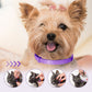 🥳HEISSER SALE 2026🥳💞50.000+ VERKAUFT!  Verstellbare Floh- und Zeckenhalsbänder für Hunde und Katzen