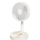 Tragbarer, multifunktionaler Teleskop-Standventilator